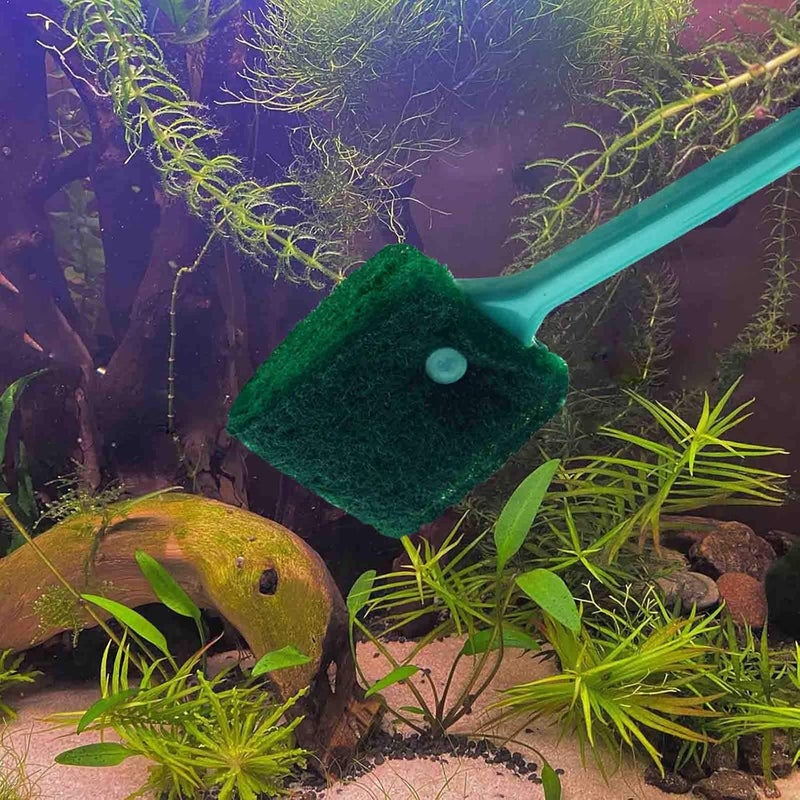 AOODOOM 3 PCS Double-Sided Aquarium Fish Tank Algae Cleaning Brush with Non-Slip Handle, Sponge Scrubber Cleaner for Glass Aquariums and Home Kitchen - Image 4